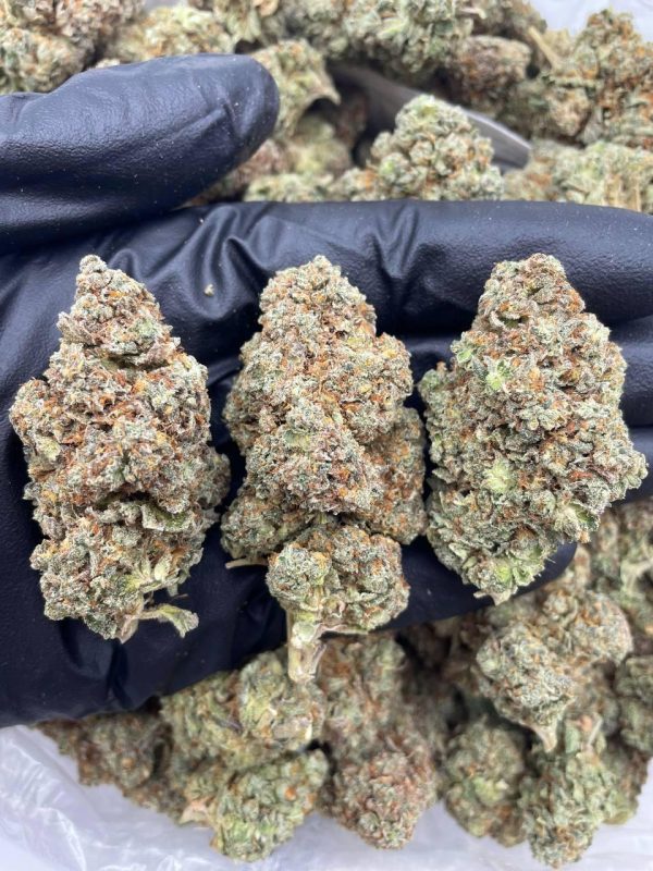 weed for sale, buy weed online, weed strain for sale, buy weed australia, buy weed uk, buy cannabis norway, buy weed online now, buy weed online bitcoin, cannabis for sale, cannabis strain for sale, best weed strains, buy weed online uk