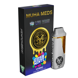 GUSH MINTZ | HYBRID 1000MG LIVE RESIN THC