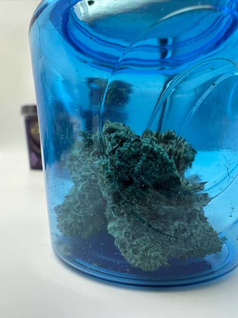 Cookies The Caviar Collection Cannabis Flower - Image 3