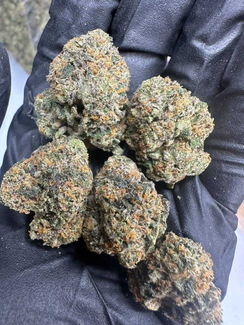 T-Barz Small Batch Python 41 (Zkittlez x Runtz) - Image 2