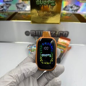 Burtz Disposable 2G Vape