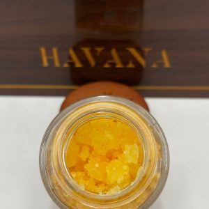 WHOLE MELT EXTRACTS HAVANA EDITION – 2025 – 1OZ