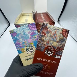 MAGIC KINGDOM CHOCOLATE BARS