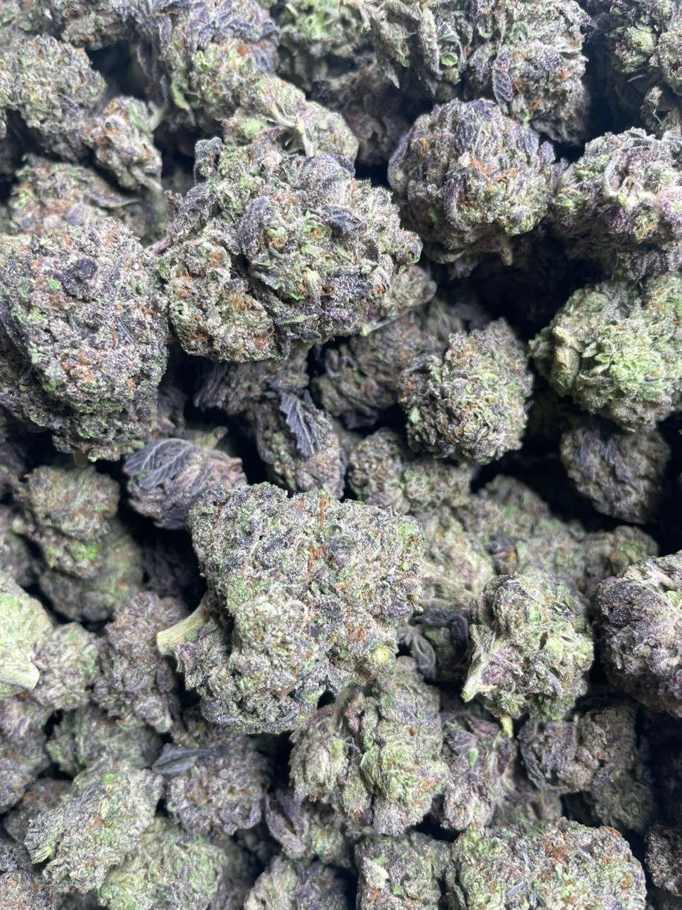 black mamba gelato ml strain - Image 2