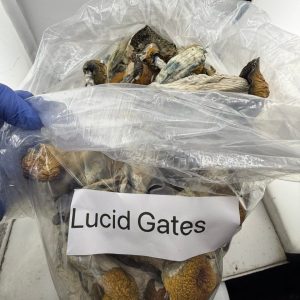 Lucid Gates Mushroom